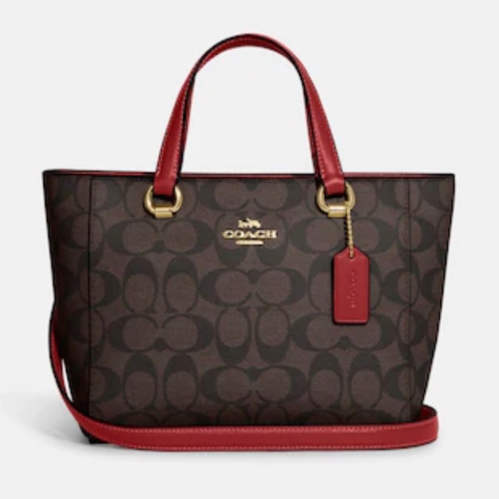 Alice Satchel In Signature Canvas